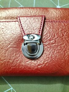 New Shimmery Clutch