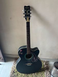 Acoustic Guitar