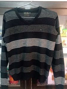 Branded Louis Philippe Striped V-Neck Sweater