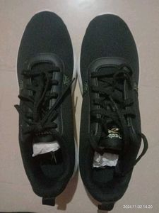 New Sport Shoes