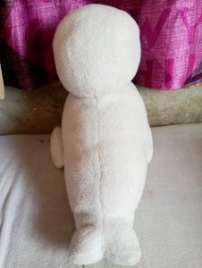 White Soft Pigeon Good Quality