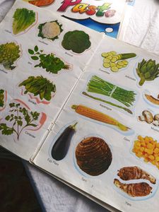 School Projects Informative Cutouts Book