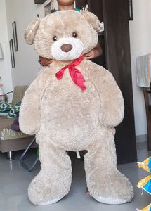 Big Teddybear Self Pickup
