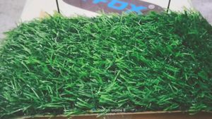 Artificial Grass For Aquarium.....