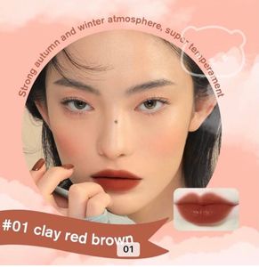Pinky Focus Lipstick