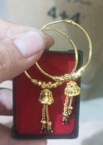 Earrings Ea