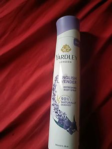 Yardley London Deodorant