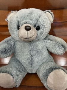Gray Plush Teddy Bear