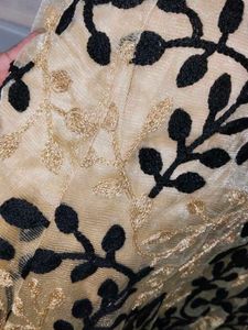 Golden and Black Gown