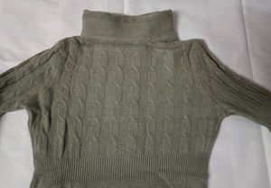 Turtle Neck Woolen Top