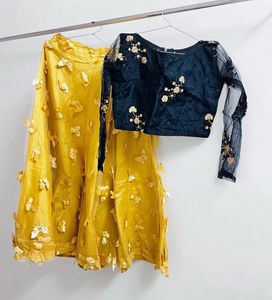 Elegant Lehenga Choli Set