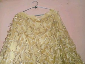 Golden Fancy  Embroidery Lehenga Choli