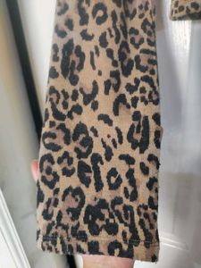 Zara Animal Print Crop Top