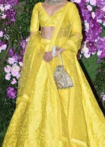 Elegant Lehenga Choli Set