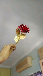 24k gold plated red rose