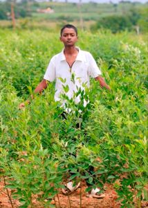 Boy's White Polo T-Shirt