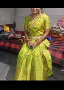 Green & Gold Sari