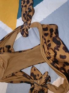 Animal Print 🐾