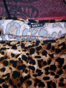 Leopard Print Mini Dress