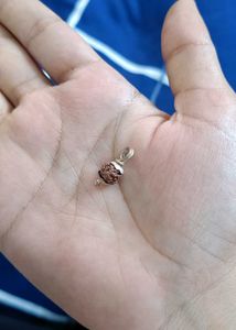 2 Small Real Silver Rudraksha Pendants