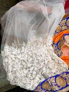 FANTASTIC CHIFFON AND NET SAREE