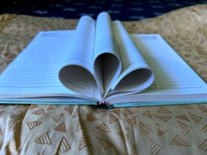 2025 Diary