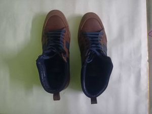 Brown &amp; Navy High-Top Sneakers