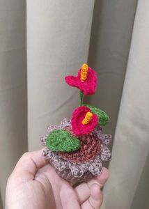 Crochet Anthurium Plant