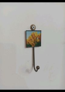 Designer Wall Hooks