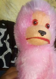 Monkey Soft Toy