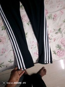 Adidas Track Pant