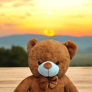 Little Cube 2.5 Feet Teddy Bear 1.4kg