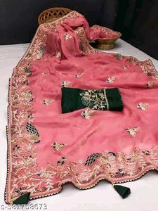 Beautiful Organza Saree