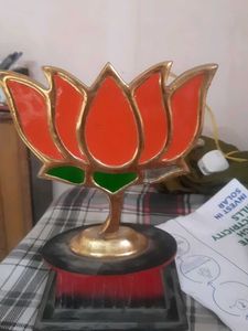 Lotus Showpiece