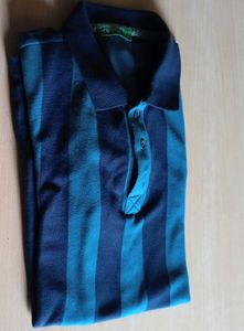 Striped Polo T-Shirt