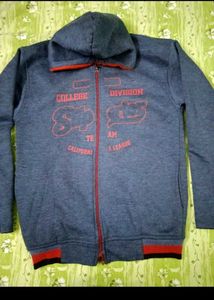 College Division Hoodie Zip Up