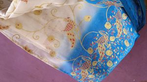 Beautiful Saree 💙