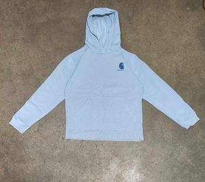 Carhartt WIP Graphic Hoodie (Pastel Blue)