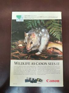 Nat Geo Magazine: Feb 2019 The Ultimate Sacrifice