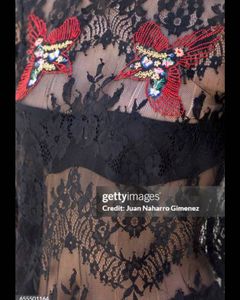 Stradivarius Net Top