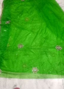 Very Beautfull Parrot Green Net Saree