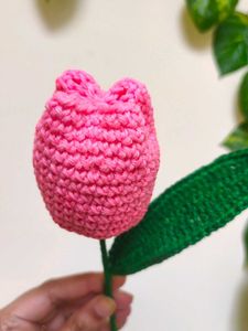 Crochet Tulip Flower