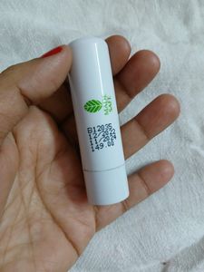 Lip Balm (Mamaearth)