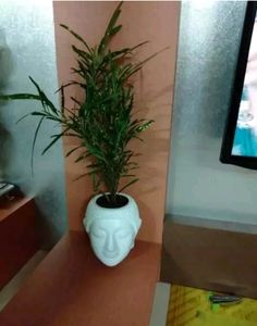 Plastic Buddha Flower