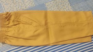 Elegant Mustard Colour Vest &amp; Shirt Set