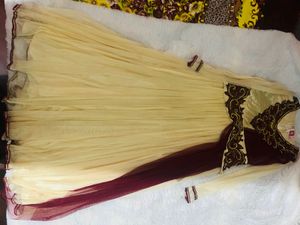 Elegant Net Gown