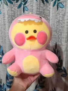 Cute Duck In Dragon Costumes