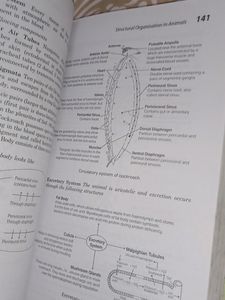 Neet Airhant Hand Book Of Biology