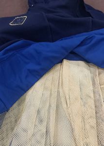 Lehanga Choli