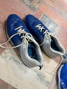 Badminton Shoes